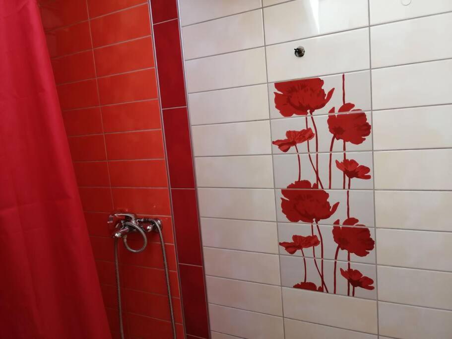 Apartman Natasa 3 브르사츠 외부 사진