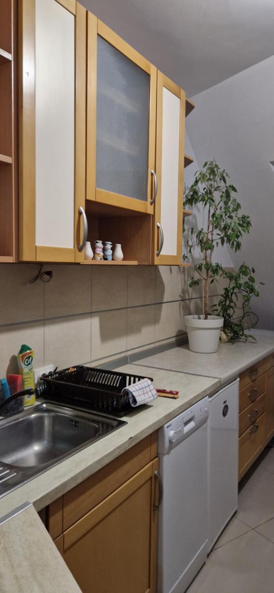 Apartman Natasa 3 브르사츠 외부 사진